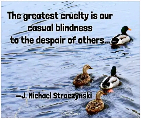The greatest cruelty is our casual blindness to the despair of others