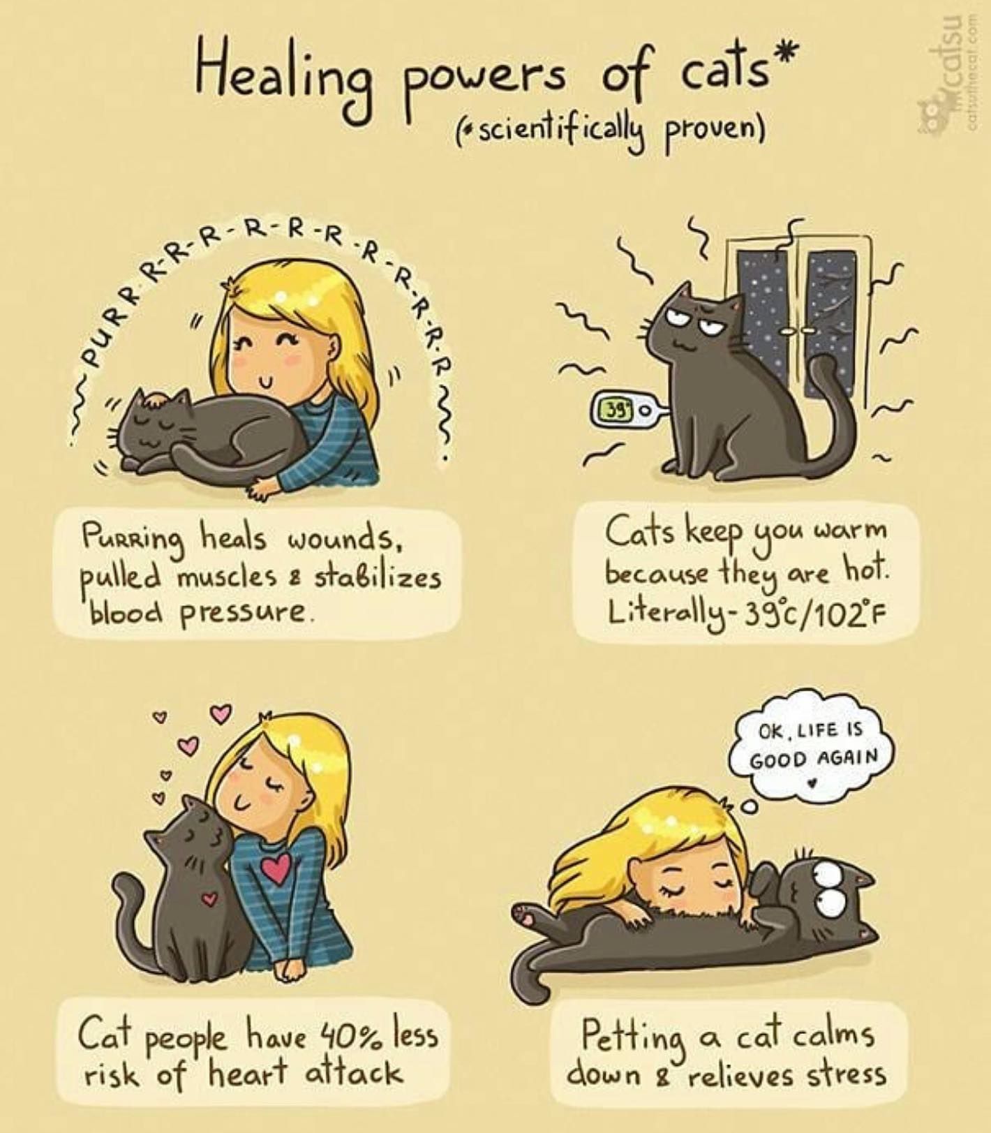 Healing power of cats